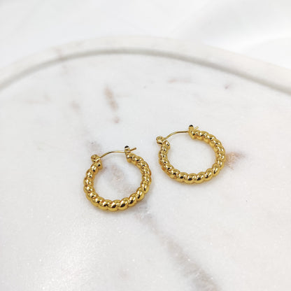 Renee Hoops